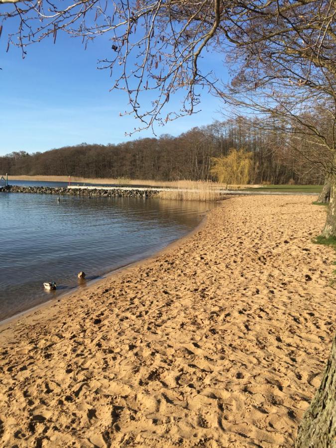 Ferienhaus Mit Bootssteg Am See In ไรน์สแบร์ก ภายนอก รูปภาพ